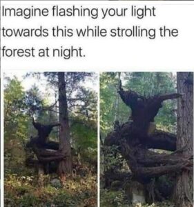 dnd memes of the week