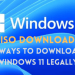 Windows 11 ISO download